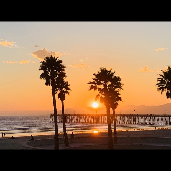 Author & YouTuber & now Posh Ambassador! - Picture 3 of 5